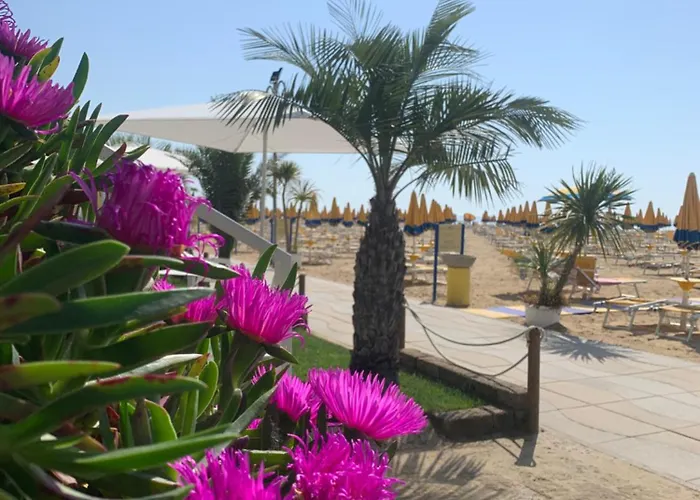 Nizza Frontemare Superior 3 Stelle מלון 3*
