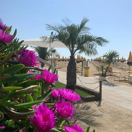 Nizza Frontemare Superior 3 Stelle Hotel 3*